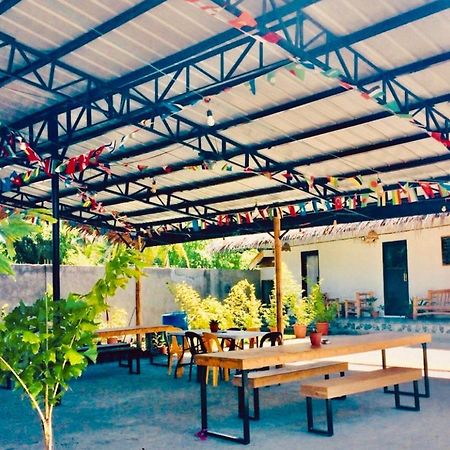 The Hangover Hostel モアルボアル エクステリア 写真
