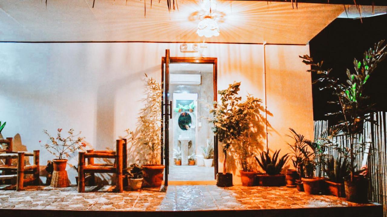 The Hangover Hostel モアルボアル エクステリア 写真