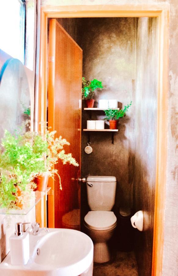 The Hangover Hostel モアルボアル エクステリア 写真